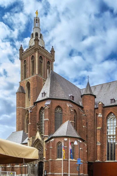 Christopher Kathedraal Nederlandse Stad Roermond Hoofdkerk Van Het Rooms Katholiek — Stockfoto