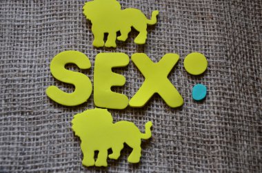 sexo de la palabra