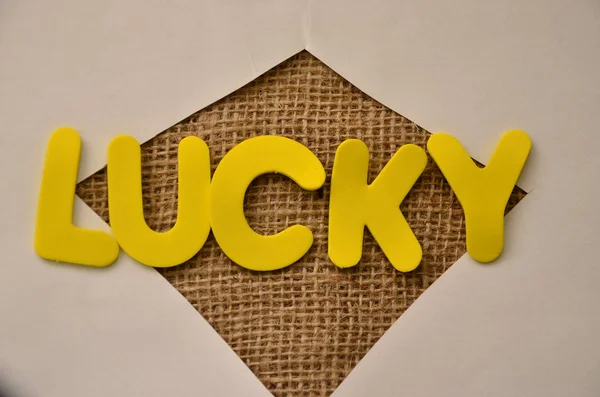 Lucky. — Foto de Stock