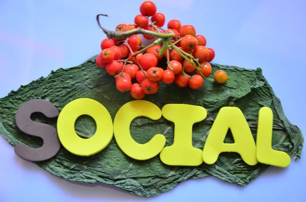 Sociale — Foto Stock