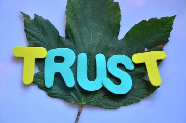 Trust — Stock Photo, Image