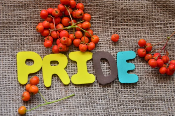 Pride — Stock Photo, Image