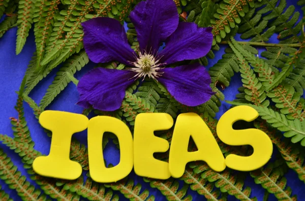 Ideas — Stock Photo, Image