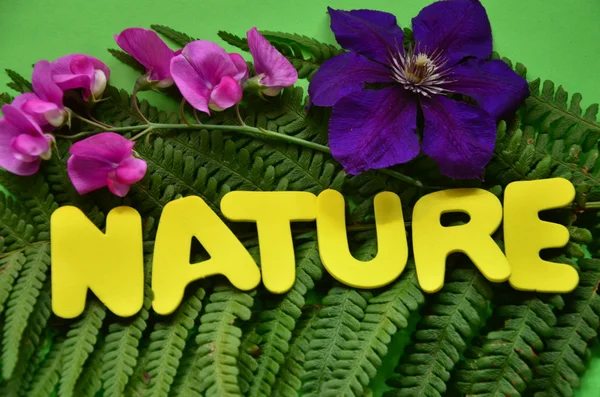 Natur — Stockfoto