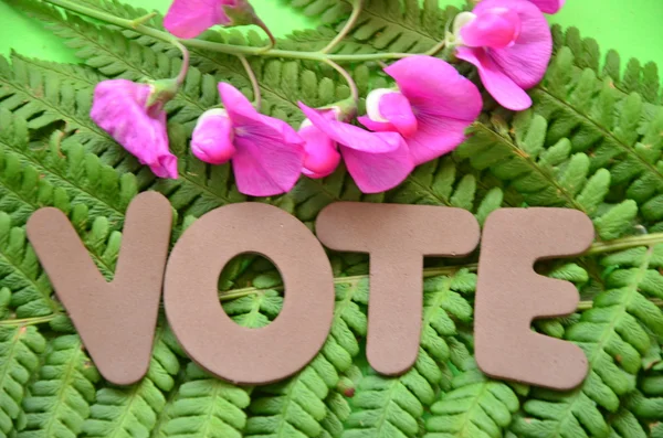 Vote — Stock Photo, Image