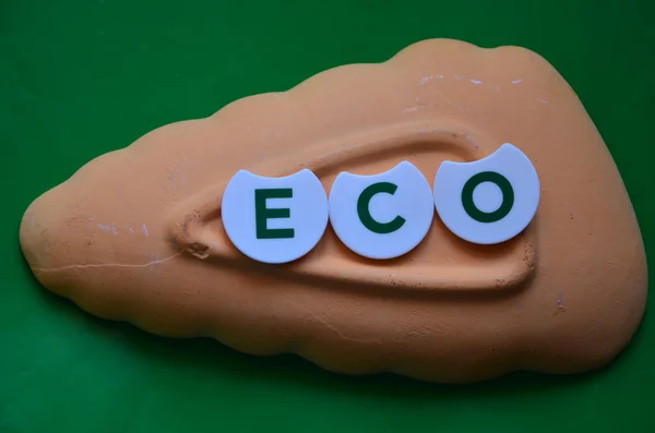Woord eco — Stockfoto