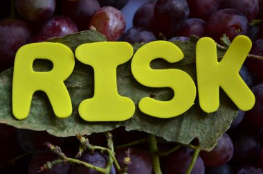 Risk