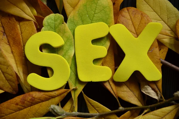 Word sex — Stock Photo, Image