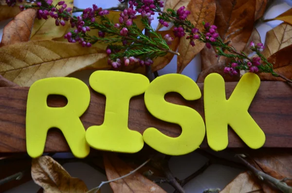 Risk — Stok fotoğraf