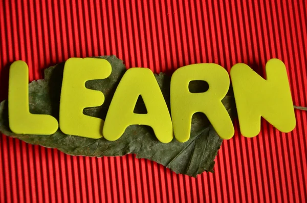 Learn — Stock Photo, Image