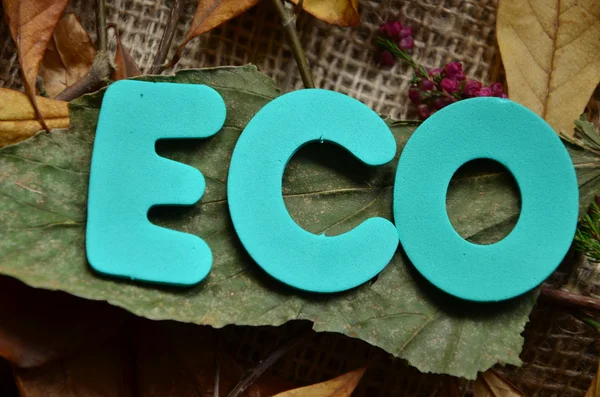 Word Eco — Stock Fotó