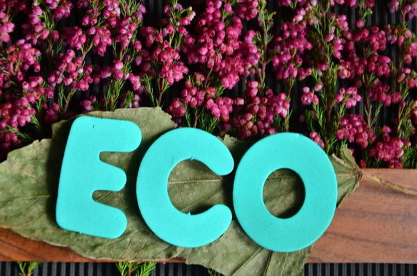 Word eco — Stock Photo, Image