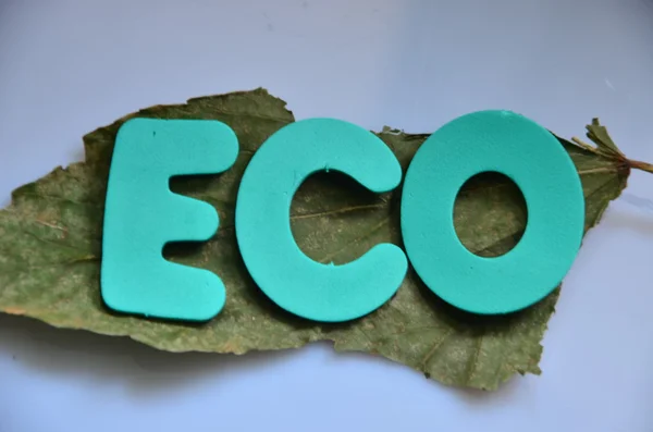 Woord eco — Stockfoto