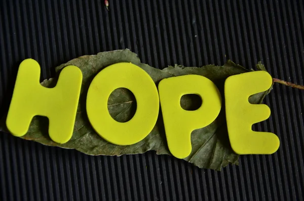 Hopp — Stockfoto