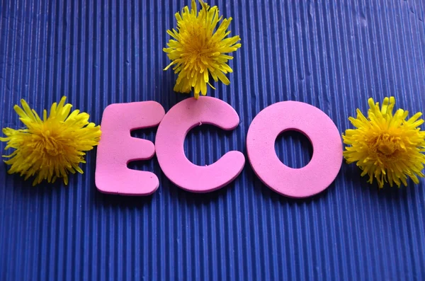 Ordet eco — Stockfoto
