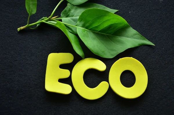 Palavra eco — Fotografia de Stock