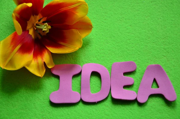 Idea parola — Foto Stock