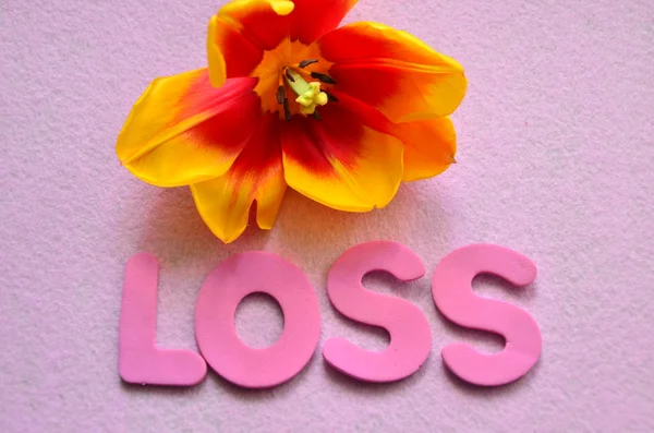 Loss — Stock Photo, Image