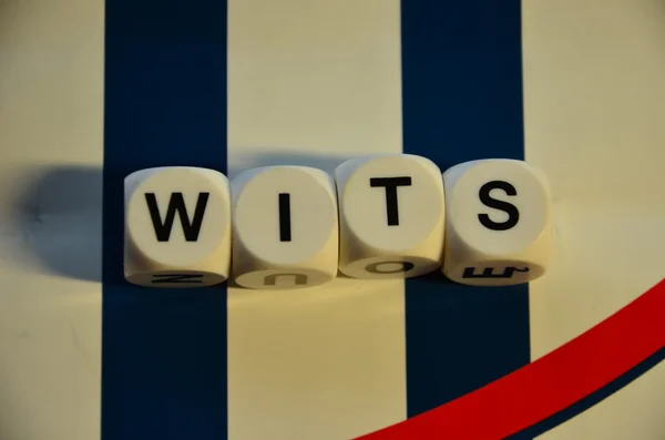 Wits — Stock Photo, Image