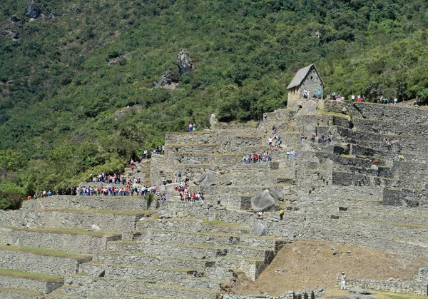 Machu picchu, peru - archeologiczne — Zdjęcie stockowe