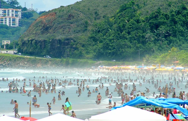 Verão Fotos De Bancos De Imagens