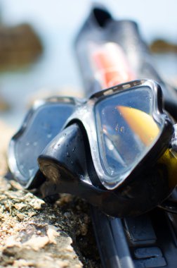 maske ve palet sahilde.