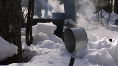 Bahar ormanı. Huş ağacı özü büyük bir fıçıda demlenir..