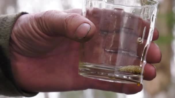 자작나무나 단풍당밀 시럽을 튀기다 — 비디오