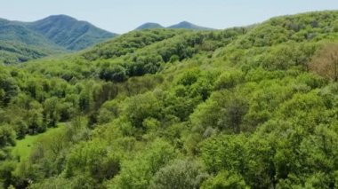 Kuzey Kafkasya. Zhane nehri vadisi. Hava görünümü.