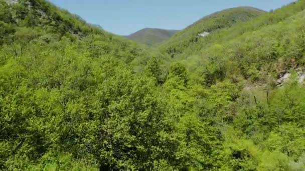 Norra Kaukasus Floden Zhanes Dal Flygbild — Stockvideo