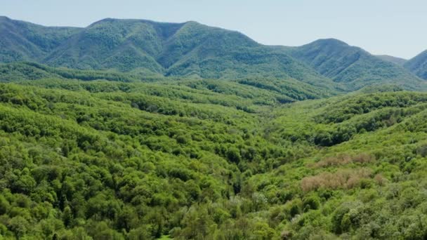 Північний Кавказ Долина Річки Жен Вид Повітря — стокове відео