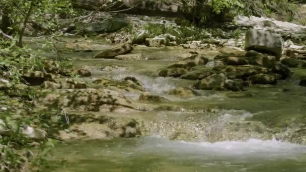 北コーカサス 春には山の川Zhane — ストック動画