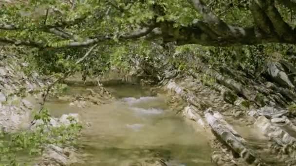 北高加索地区 春天的扎内山河 — 图库视频影像