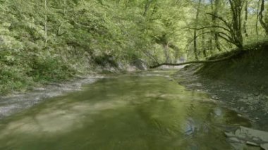 Kuzey Kafkasya. İlkbaharda Zhane Dağı nehri.