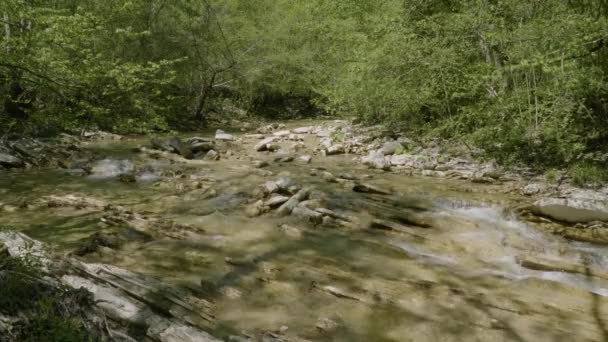 Norra Kaukasus Berg Floden Zhane Våren — Stockvideo