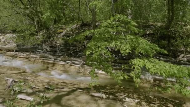 Βόρειος Καύκασος Ορεινός Ποταμός Zhane Την Άνοιξη — Αρχείο Βίντεο