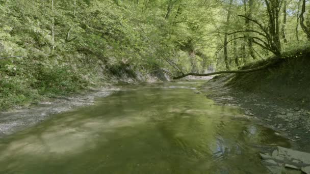 Severní Kavkaz Horská Řeka Zhane Jaře — Stock video