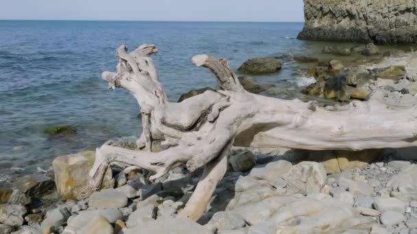 Μαύρη Θάλασσα Μνημείο Της Φύσης Sail Rock Parus Rock — Αρχείο Βίντεο