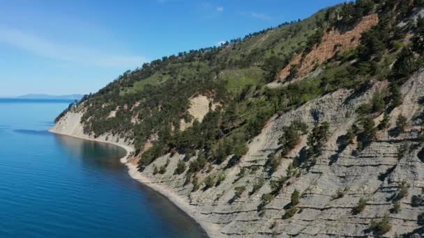 黒海沿岸 ペブルビーチと岩の多い海岸 空中風景 — ストック動画
