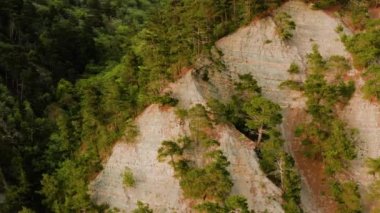 Günbatımında Karadeniz 'in kayalık kıyıları. Hava görünümü.