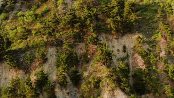 落日下的黑海岩石海岸 山上的森林 空中景观 — 图库视频影像