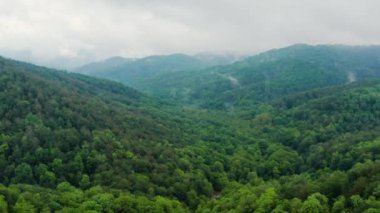 Kafkas Dağları, Akhun Dağları. Navalishinsky Kanyonu (Beyaz kayalar). Bolshaya Khosta Nehri 'nin sisli vadisi. Hava görünümü.