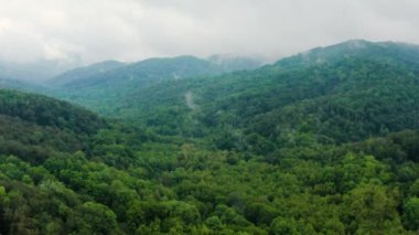 Kafkas Dağları, Akhun Dağları. Navalishinsky Kanyonu (Beyaz kayalar). Bolshaya Khosta Nehri 'nin sisli vadisi. Hava görünümü.