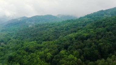 Kafkas Dağları, Akhun Dağları. Navalishinsky Kanyonu (Beyaz kayalar). Bolshaya Khosta Nehri 'nin sisli vadisi. Hava görünümü.