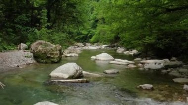 Kafkaslar. Khosta Dağı nehri üzerindeki Navalishinsky Kanyonu 'nda bir uçuş. Subtropikal orman.