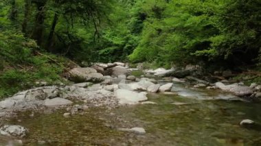 Kafkaslar. Khosta Dağı nehri üzerindeki Navalishinsky Kanyonu 'nda bir uçuş. Subtropikal orman.