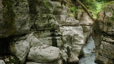 Kafkaslar. Khosta Dağı nehri üzerindeki Navalishinsky Kanyonu 'nda bir uçuş. Subtropikal orman.
