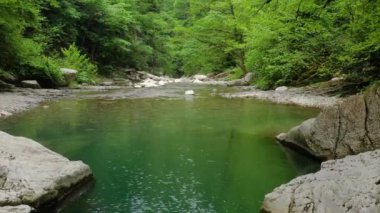 Kafkaslar. Khosta Dağı nehri üzerindeki Navalishinsky Kanyonu 'nda bir uçuş. Subtropikal orman.