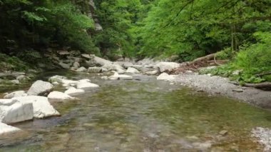 Kafkaslar. Khosta Dağı nehri üzerindeki Navalishinsky Kanyonu 'nda bir uçuş. Subtropikal orman.