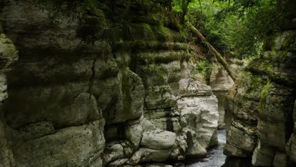 Caucasus Flight Navalishinsky Canyon Khosta Mountain River Subtropical Forest — Stock Video